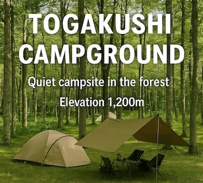 戸隠キャンプ場　テントとタープ　森林の画像